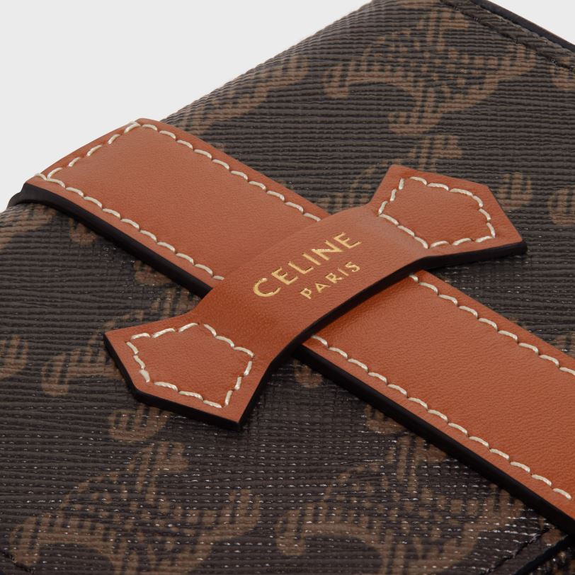 CELINE muškarci mala kutija za dragulje od triomphe platna i teleće kože 3WED61562 pribor preplanuli ten