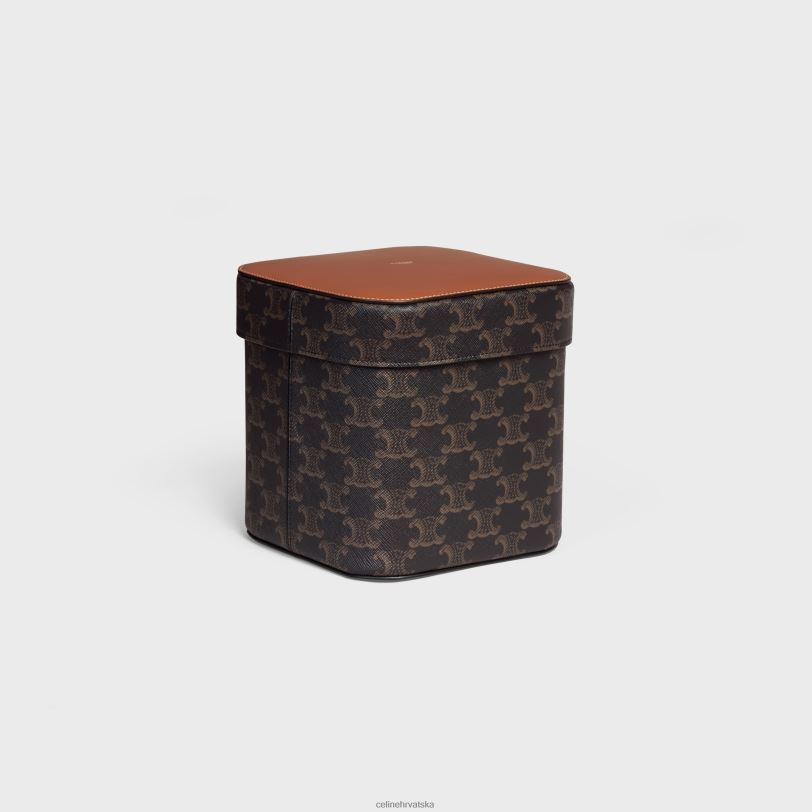 CELINE muškarci velika kutija od triomphe platna i teleće kože 3WED61536 pribor preplanuli ten