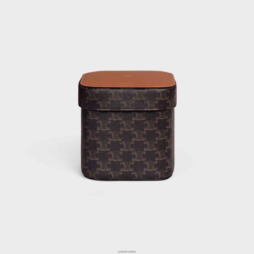 CELINE muškarci velika kutija od triomphe platna i teleće kože 3WED61536 pribor preplanuli ten